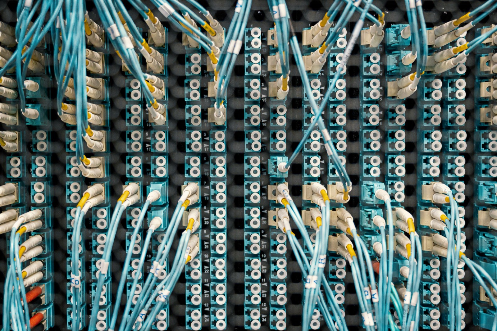 Network patch panel with ordered cabling